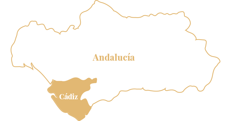 Andalucía - Cádiz | Bodega Barbadillo