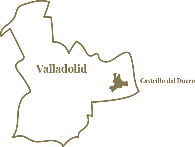 Mapa Región & Vinos | Bodegas Vega Real