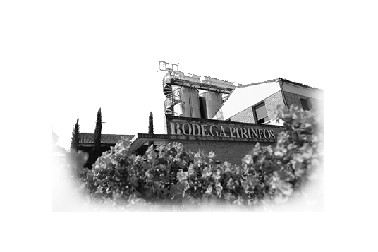 1993 - Y se unió la montaña| Bodegas Barbadillo 1993 - Y se unió la montaña| Bodegas Barbadillo