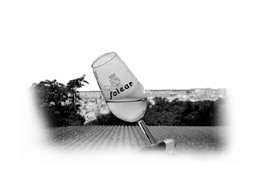 2015 -Solear brilla | Bodegas Barbadillo 2015 -Solear brilla | Bodegas Barbadillo