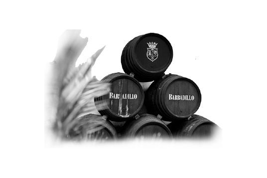 2015 - Frutos de la pasión y el trabajo | Bodegas Barbadillo 2015 - Frutos de la pasión y el trabajo | Bodegas Barbadillo