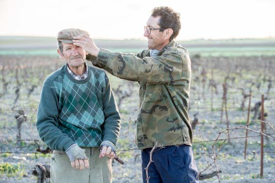 Región & Vinos  | Bodega Barbadillo