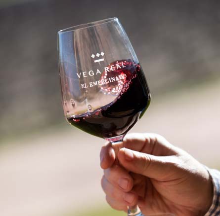 Bodegas Vega Real en cifras | Bodegas Vega Real Bodegas Vega Real en cifras | Bodegas Vega Real