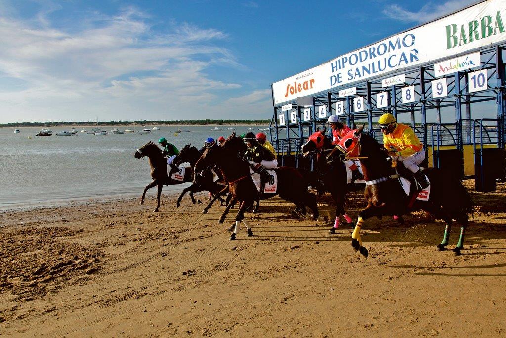 carreras de caballos