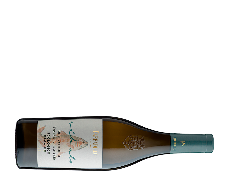 Sábalo | Barbadillo