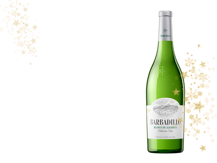 Barbadillo Blanco de Albariza | Bodegas Barbadillo