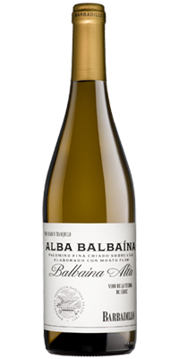 Bodegas Barbadillo introduces ‘Alba Balbaína’,  a terroir focused white wine.