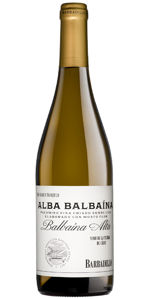 #vinoblanco #blancobarbadillo #albabalbaina #tierraalbariza #vinodelatierradecadiz #vinoafrutado #barbadillo